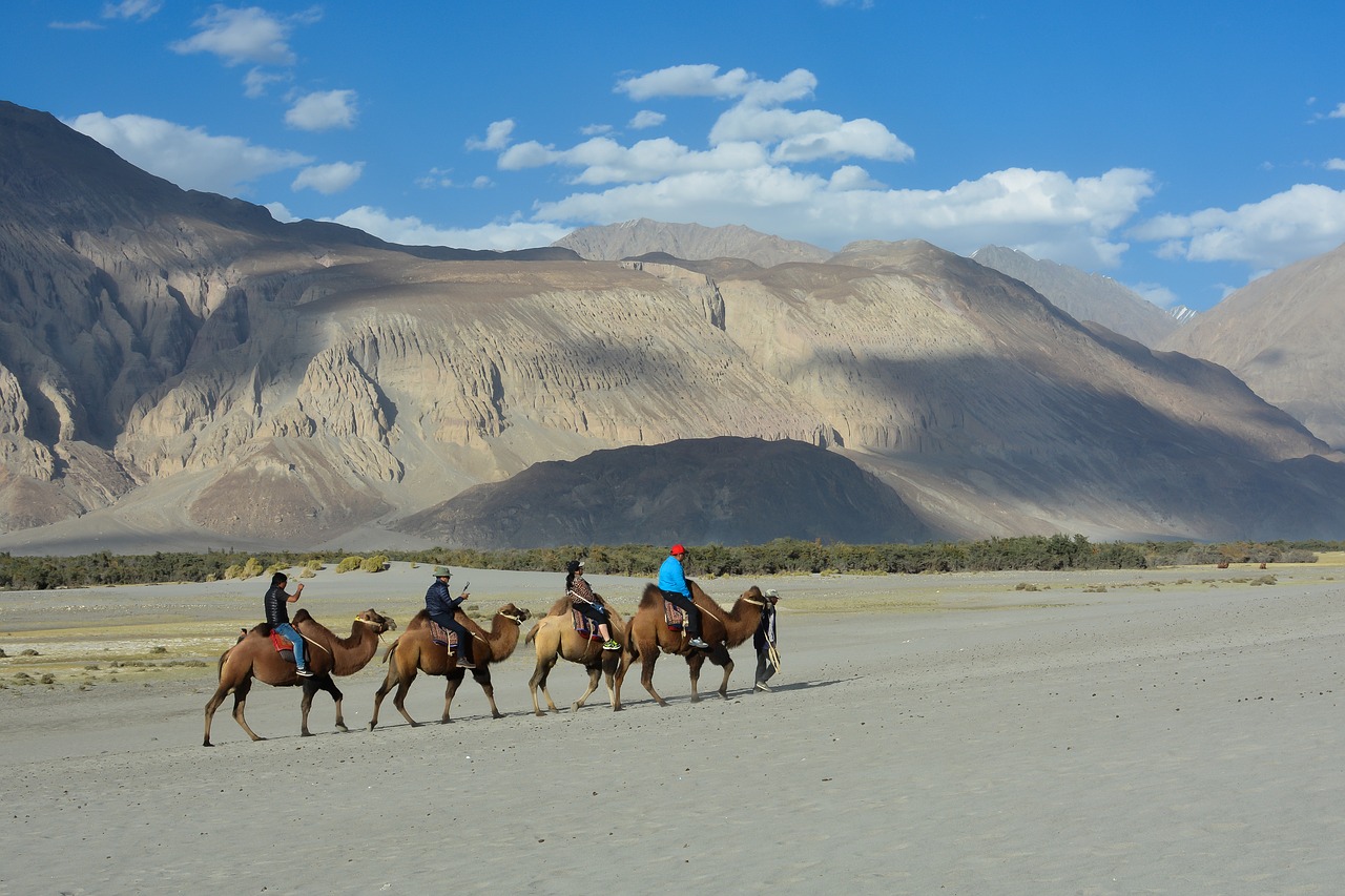 Leh Nubra Pangong Circuit Tour – 6 Days | Ladakh Private Tour Package