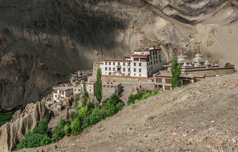 Alchi & Likir Monastery Tour (Sham Valley)